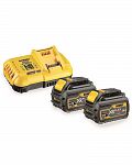 DEWALT DCB118T2